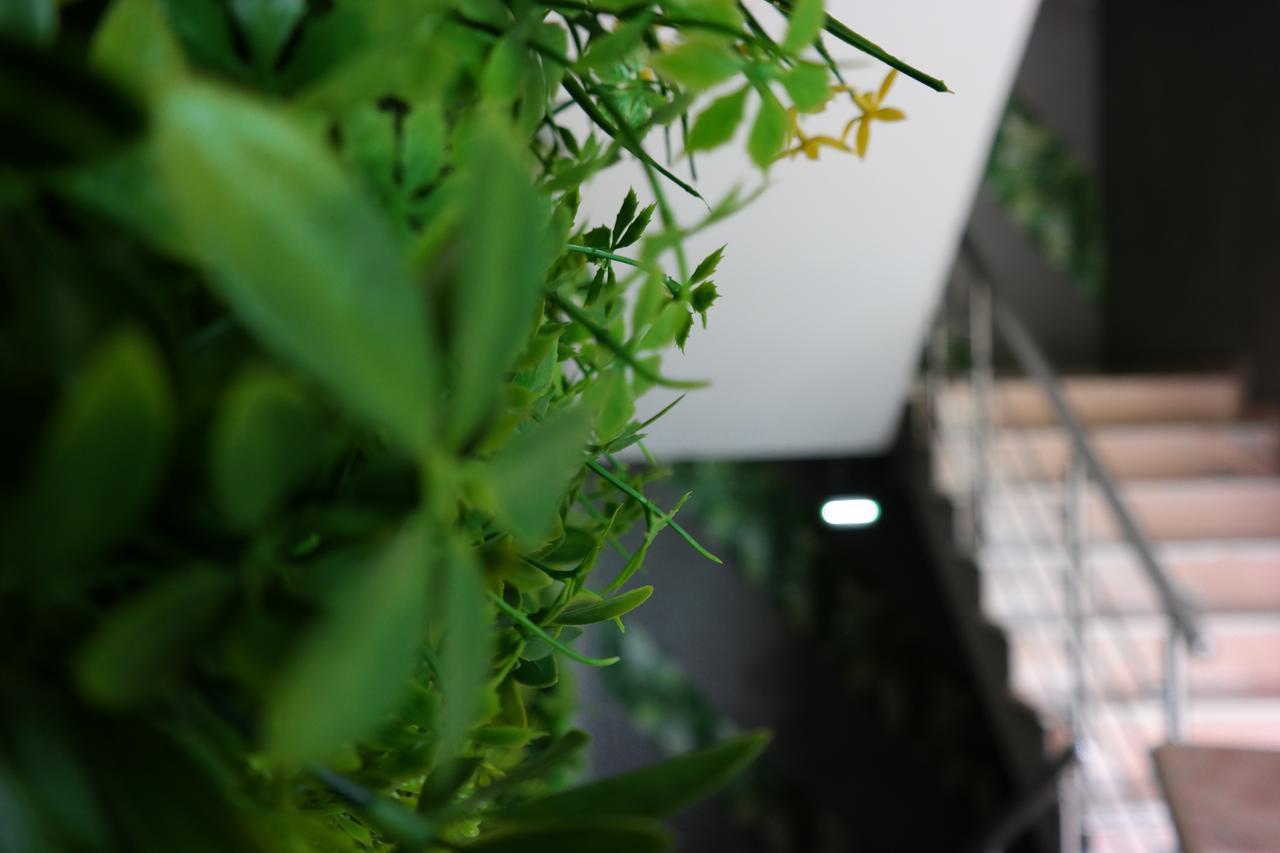 探索酒店 利迈纳里亚 外观 照片